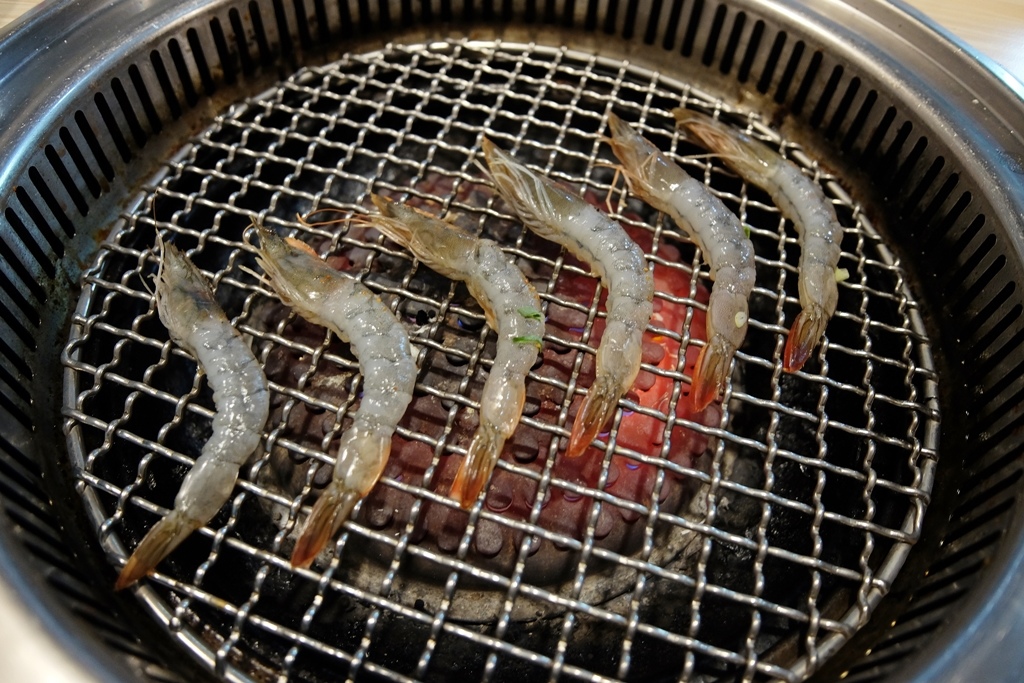 20250816-xf8is