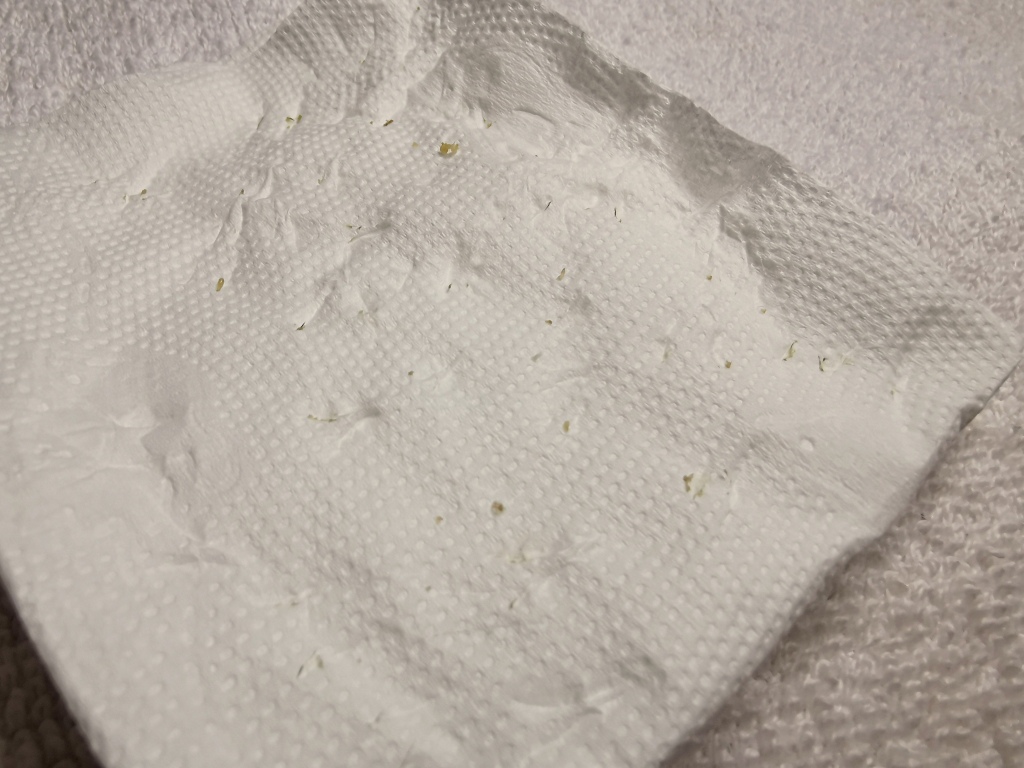 20250817-qi5mg