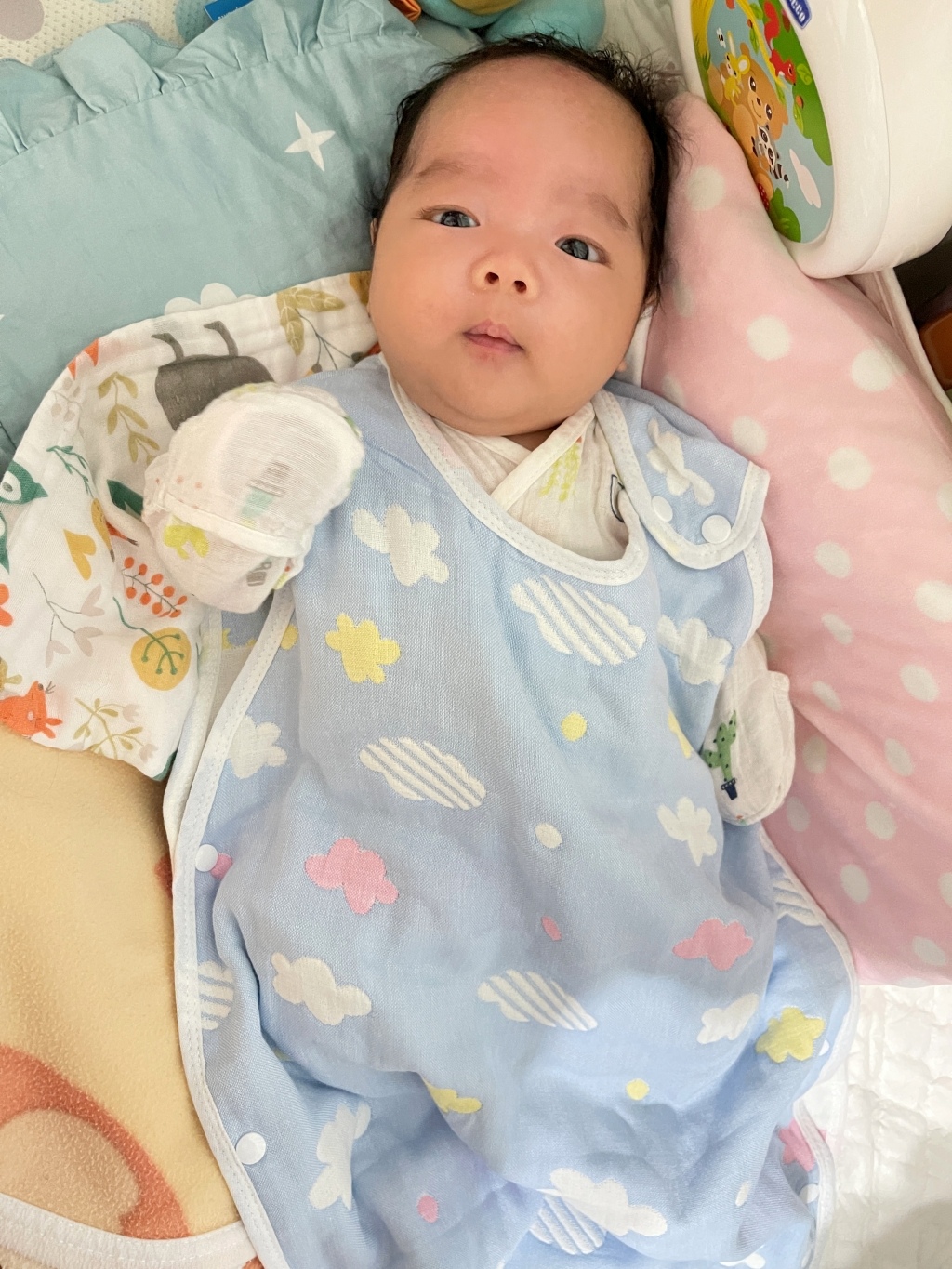 20250817-01zjy