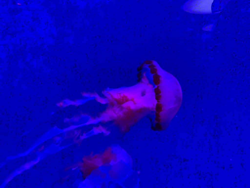 20250816-tcm2c