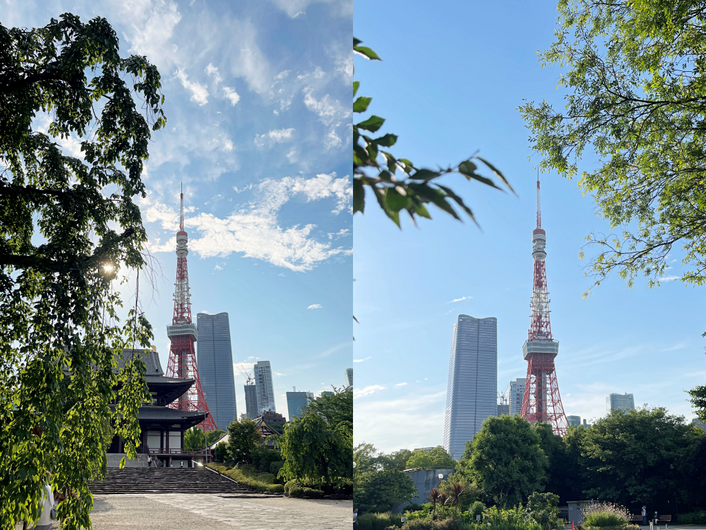 20250816-cbgvx