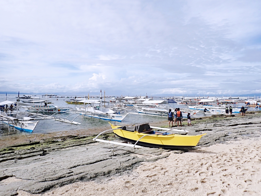 【菲律賓景點推薦】薄荷島「巴里卡薩島Balicasag Island 跳島半日遊」近距離觀賞海豚、與海龜共遊! - 第7張圖