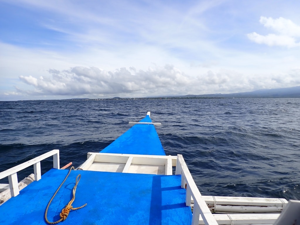 【菲律賓景點推薦】墨寶「沙丁魚風暴水肺體驗潛水/佩斯卡多島海龜共遊」世界級潛水奇景,徜徉於沙丁魚魚球之中! - 第5張圖