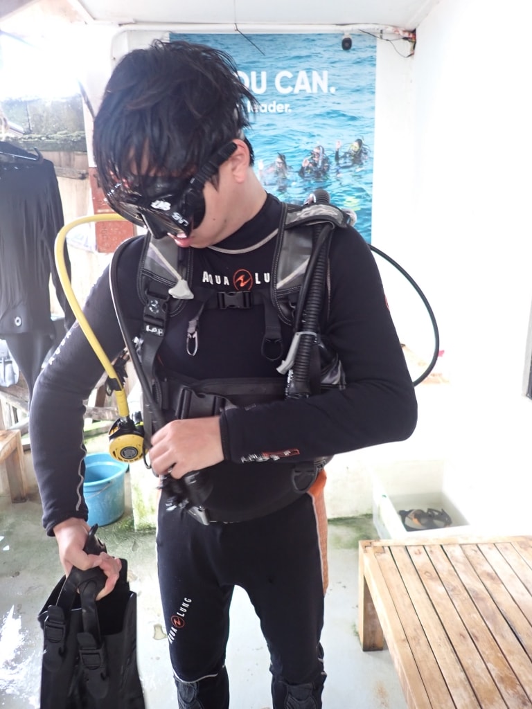 【菲律賓景點推薦】墨寶「沙丁魚風暴水肺體驗潛水/佩斯卡多島海龜共遊」世界級潛水奇景,徜徉於沙丁魚魚球之中! - 第13張圖
