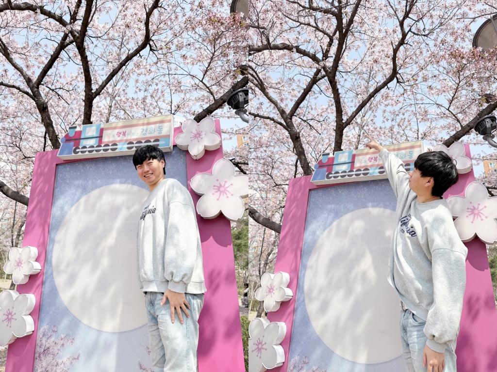 【釜山景點推薦】「慶和車站&余佐川」韓國最大規模的櫻花慶典，鎮海櫻花節追櫻一日遊!