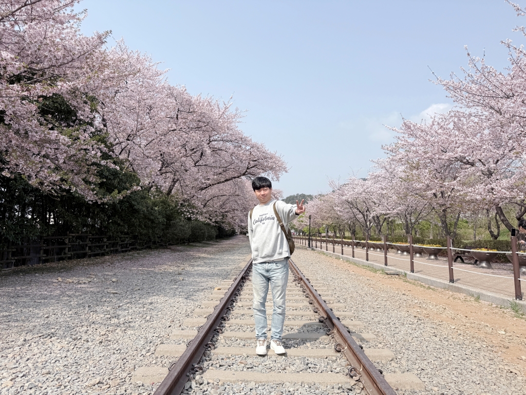 【釜山景點推薦】「慶和車站&余佐川」韓國最大規模的櫻花慶典，鎮海櫻花節追櫻一日遊!