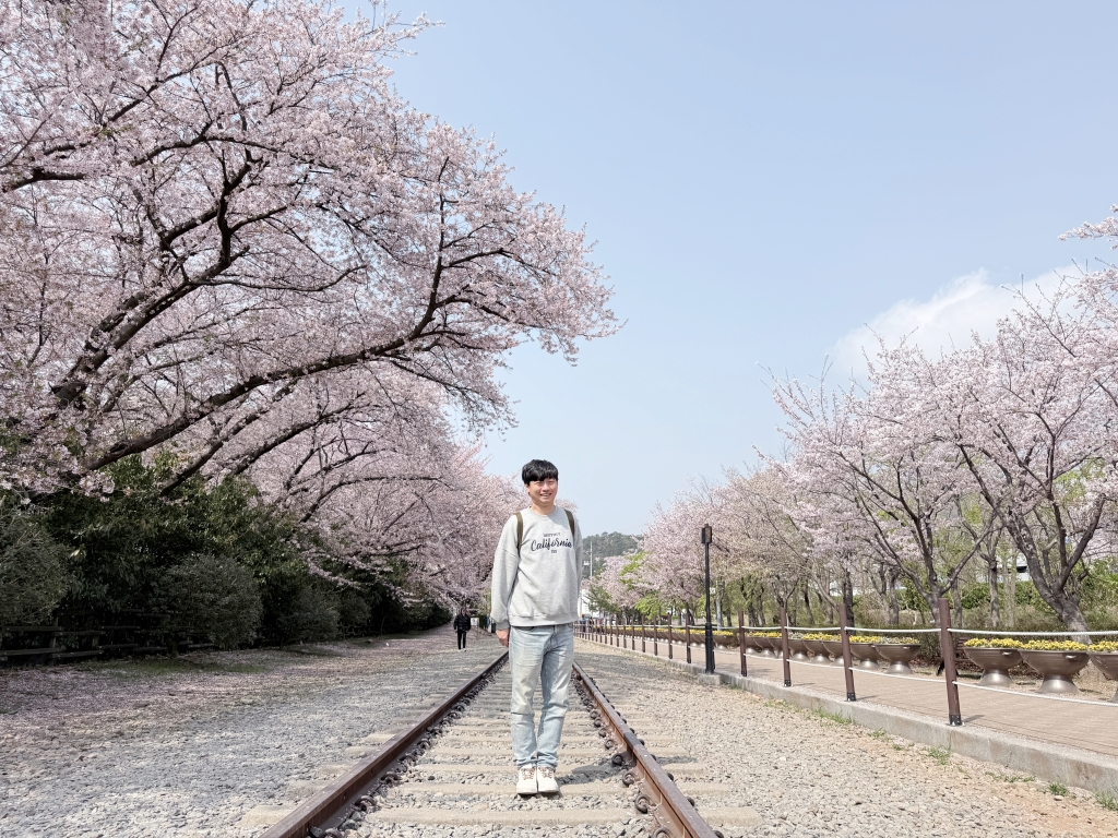 【釜山景點推薦】「慶和車站&余佐川」韓國最大規模的櫻花慶典，鎮海櫻花節追櫻一日遊!