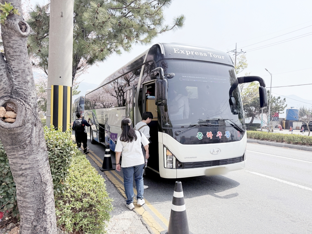 【釜山景點推薦】「慶和車站&余佐川」韓國最大規模的櫻花慶典，鎮海櫻花節追櫻一日遊!