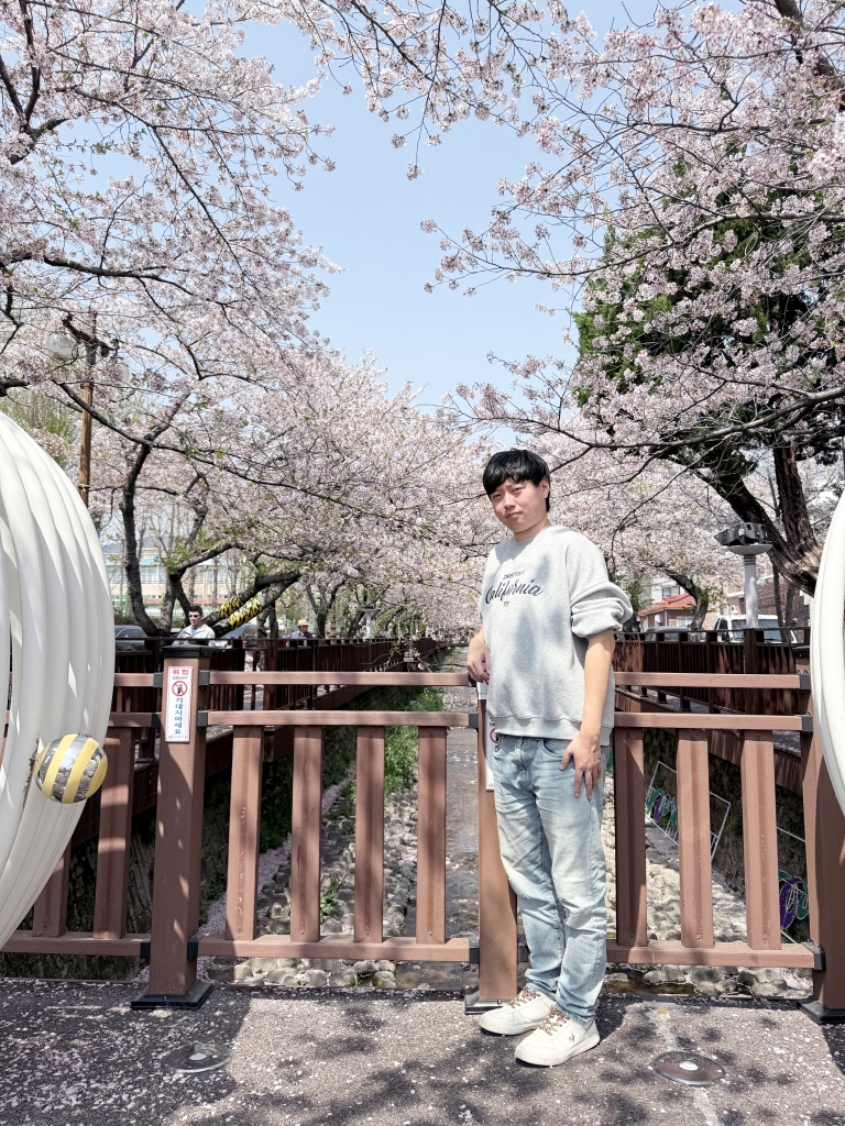 【釜山景點推薦】「慶和車站&余佐川」韓國最大規模的櫻花慶典，鎮海櫻花節追櫻一日遊!