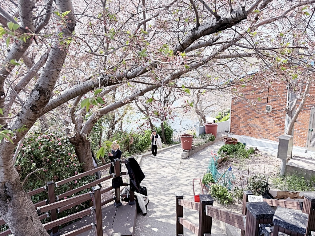 【釜山景點推薦】「白淺灘文化村 Huinnyeoul Culture Village」影島必訪海景文化藝術村，絕美海景第一排超好拍!