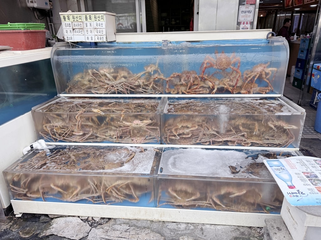 【釜山美食推薦】「札嘎其市場」韓國最大海鮮市場,現買現煮才夠新鮮! - 第5張圖 【釜山美食推薦】「札嘎其市場」韓國最大海鮮市場,現買現煮才夠新鮮!