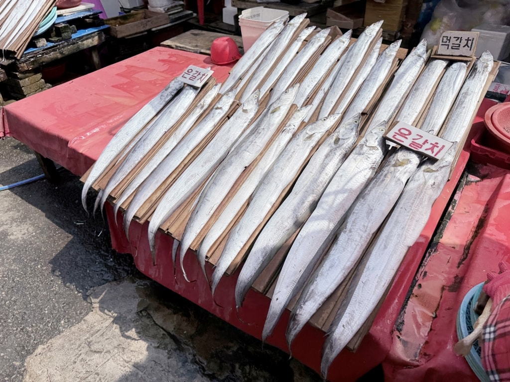 【釜山美食推薦】「札嘎其市場」韓國最大海鮮市場,現買現煮才夠新鮮! - 第2張圖 【釜山美食推薦】「札嘎其市場」韓國最大海鮮市場,現買現煮才夠新鮮!