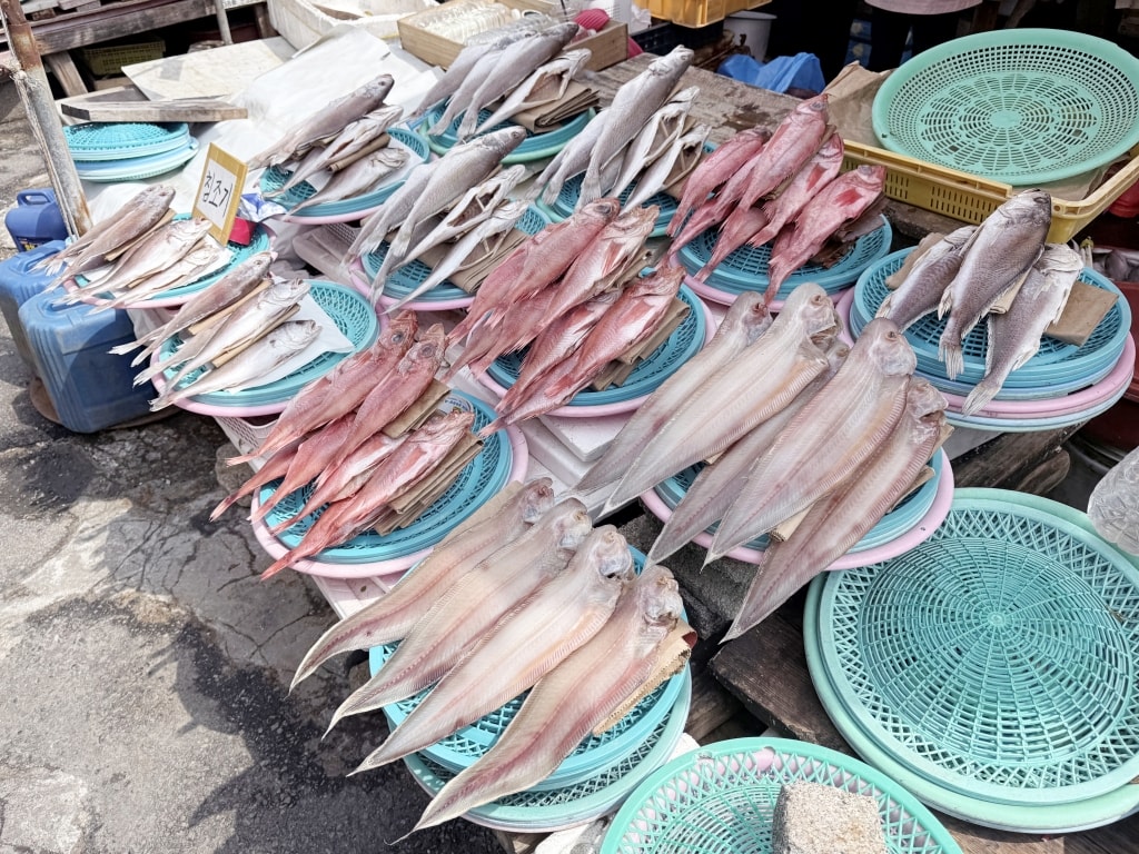【釜山美食推薦】「札嘎其市場」韓國最大海鮮市場,現買現煮才夠新鮮! - 第3張圖 【釜山美食推薦】「札嘎其市場」韓國最大海鮮市場,現買現煮才夠新鮮!