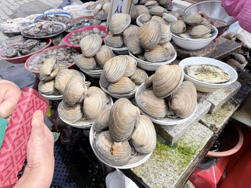 【釜山美食推薦】「札嘎其市場」韓國最大海鮮市場,現買現煮才夠新鮮! - 第4張圖 【釜山美食推薦】「札嘎其市場」韓國最大海鮮市場,現買現煮才夠新鮮!