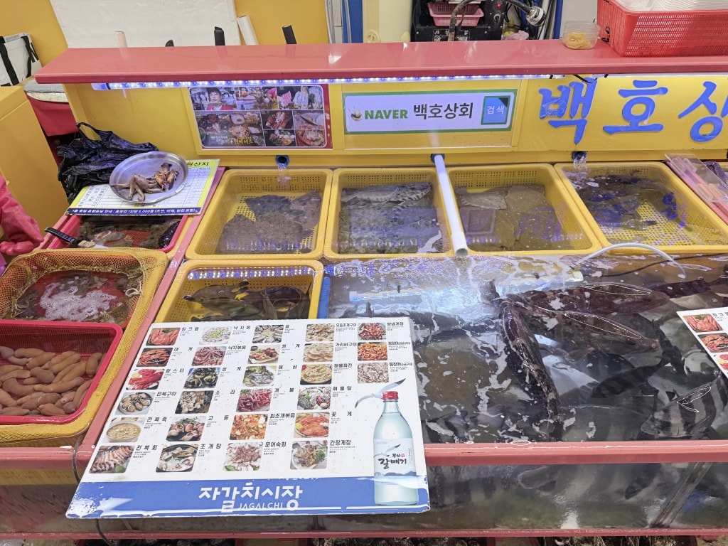 【釜山美食推薦】「札嘎其市場」韓國最大海鮮市場,現買現煮才夠新鮮! - 第8張圖 【釜山美食推薦】「札嘎其市場」韓國最大海鮮市場,現買現煮才夠新鮮!
