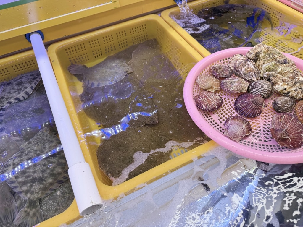 【釜山美食推薦】「札嘎其市場」韓國最大海鮮市場,現買現煮才夠新鮮! - 第9張圖 【釜山美食推薦】「札嘎其市場」韓國最大海鮮市場,現買現煮才夠新鮮!