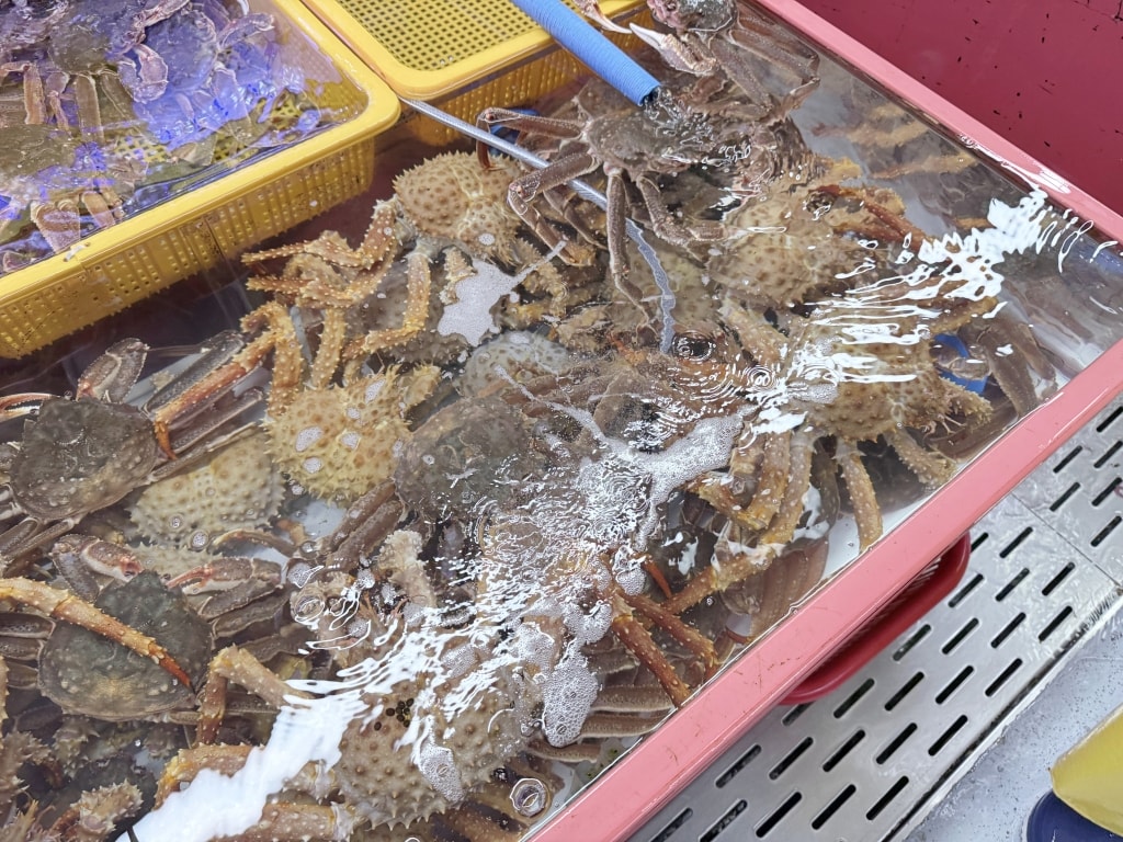 【釜山美食推薦】「札嘎其市場」韓國最大海鮮市場,現買現煮才夠新鮮! - 第10張圖 【釜山美食推薦】「札嘎其市場」韓國最大海鮮市場,現買現煮才夠新鮮!