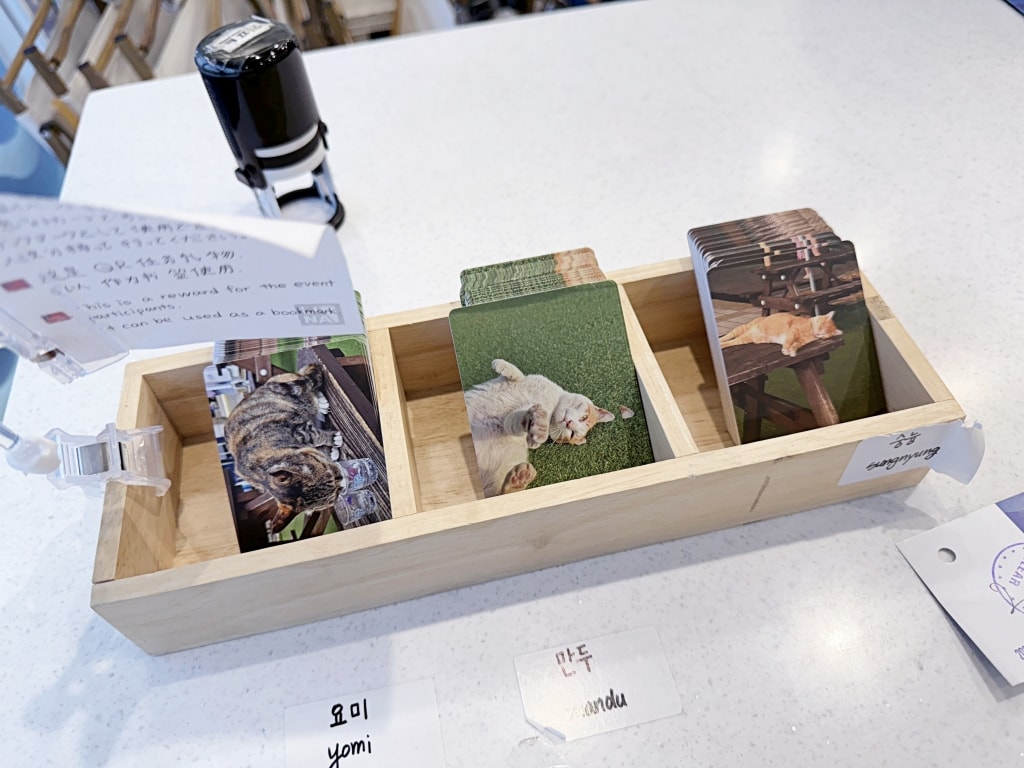 【釜山景點推薦】「釜山塔 Busan Tower」釜山必訪經典地標，360度高空無死角俯瞰釜山市景!