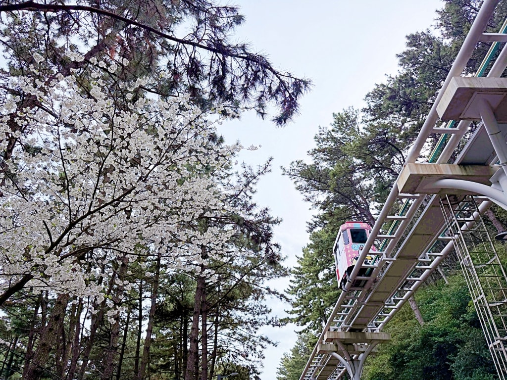 【釜山景點推薦】「海雲台綠色鐵路(Haeundae Green Railway)」青沙浦踏石觀景台、紅白雙子燈塔、海月展望台、迎月隧道多個景點一次滿足! - 第4張圖 【釜山景點推薦】「海雲台綠色鐵路(Haeundae Green Railway)」青沙浦踏石觀景台、紅白雙子燈塔、海月展望台、迎月隧道多個景點一次滿足!