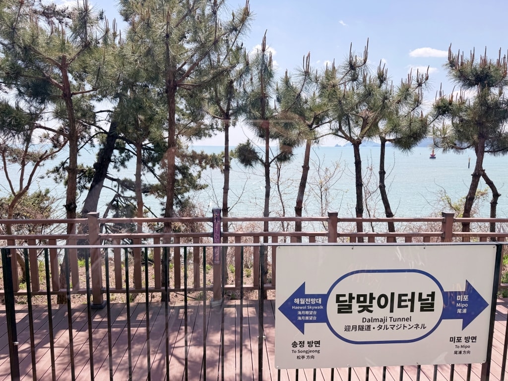 【釜山景點推薦】「海雲台藍線公園海岸列車」全面海座位車廂，絕美海景一覽無遺!