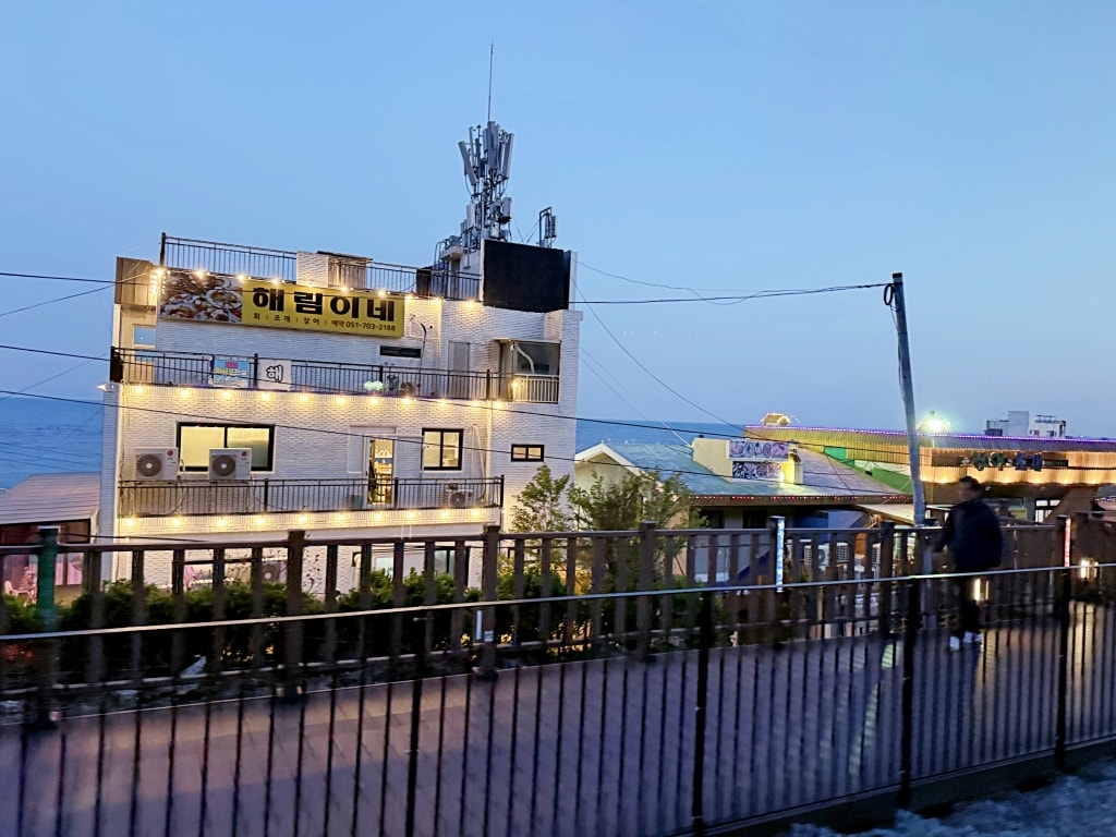【釜山景點推薦】「海雲台藍線公園海岸列車」全面海座位車廂，絕美海景一覽無遺!